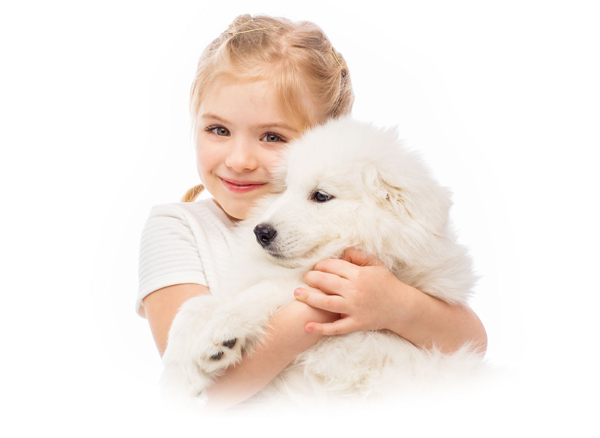 Best Dogs for Kids that Don't Shed