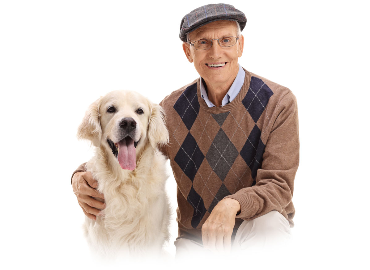 Best Dogs for Seniors