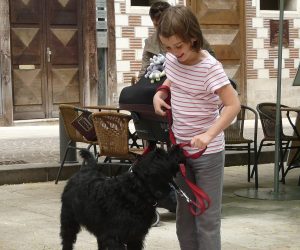 friendlylabradoodle