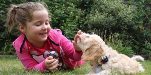 kid with goldendoodle puppy